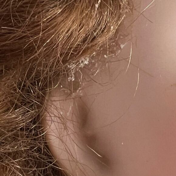 Porcelain Doll Signed Avigail Anna Brahms 1983 Rebecca Ballerina Ltd Ed 12/450 - Picture 16 of 16